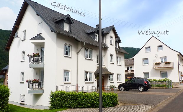 Wein- und Gästehaus Dernst in Mesenich an der Mosel