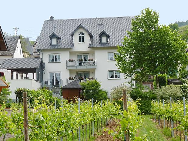 Wein- und Gästehaus Dernst in Mesenich an der Mosel